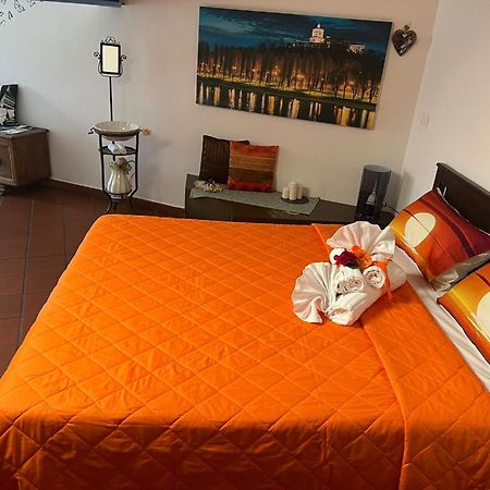 Historic Center Via Po Apartment Торино Екстериор снимка
